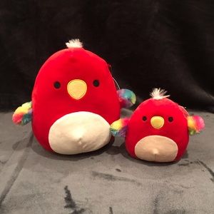 8" & 5" Paco the Red Parrot Squishmallows